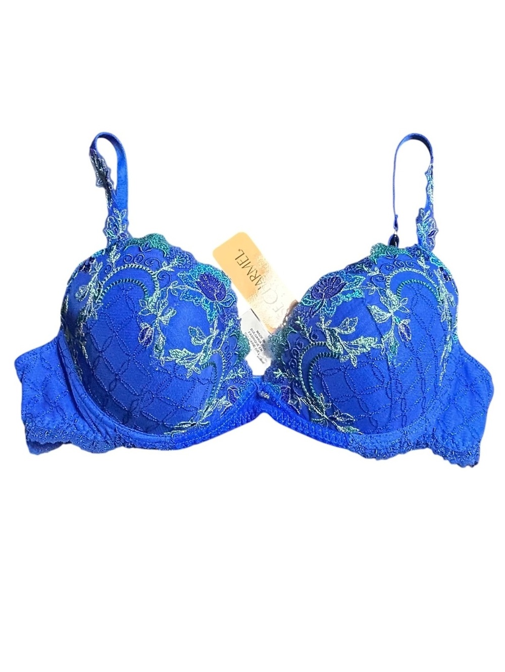 LISE CHARMEL Cristal et D'eau Moulded Bra 34D NWT $244
